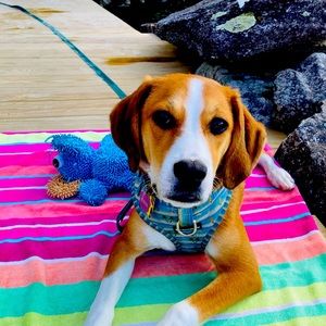 Meet your Posher, Amy